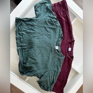 2 TNA cropped t shirts.